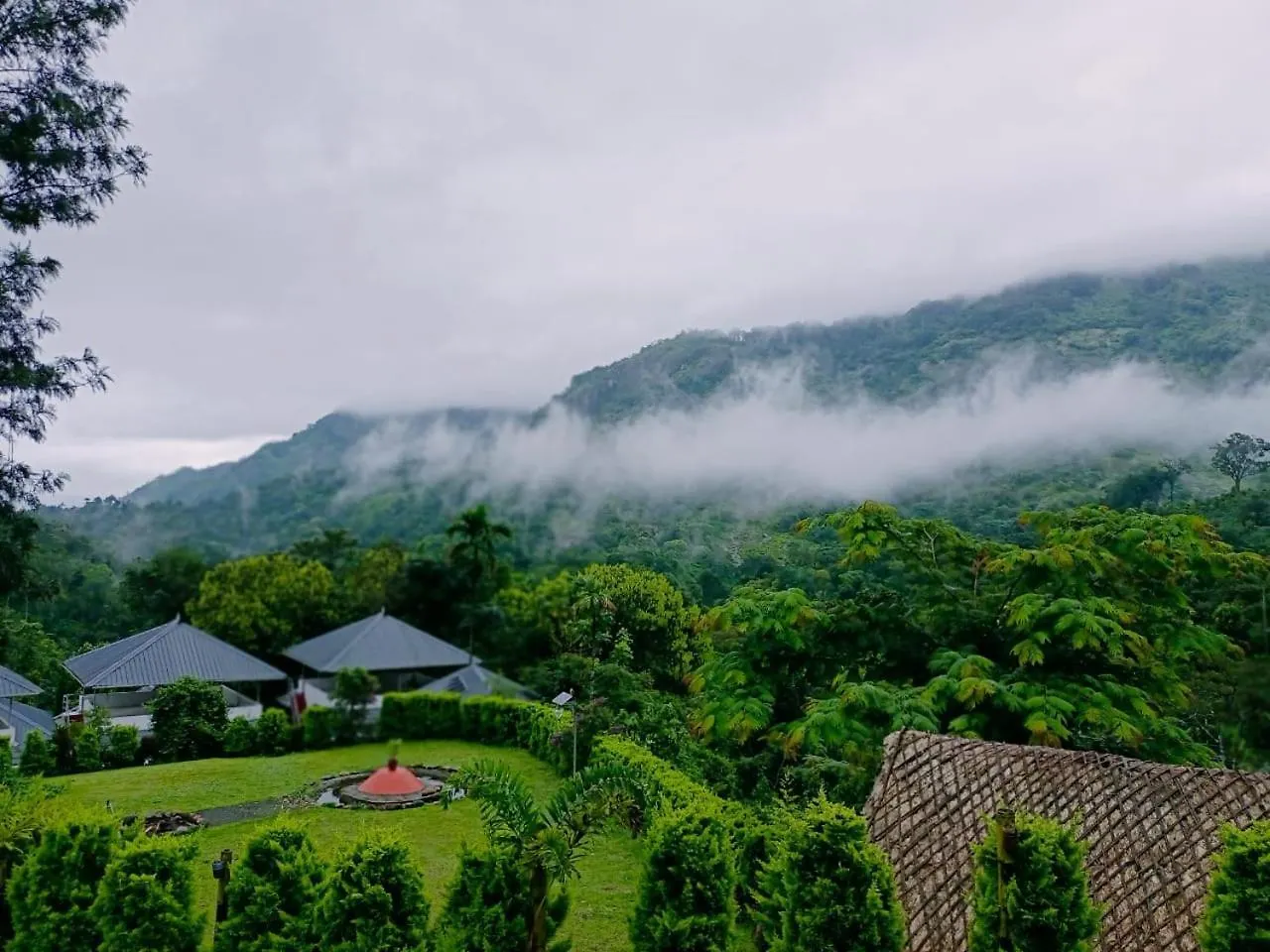 Moon Hill Farm Resort Munnar Viripara India