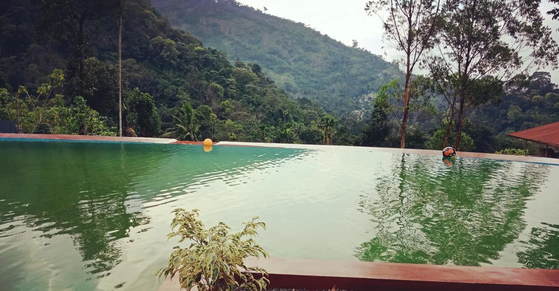 Moon Hill Farm Resort Munnar Viripara